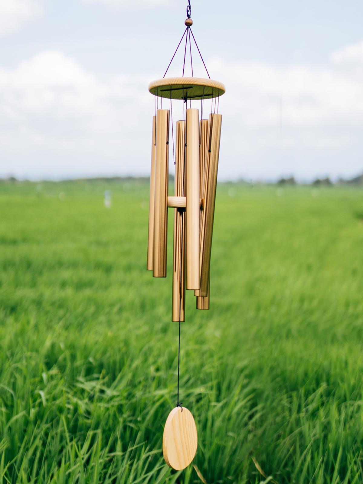 Chimey Chimes